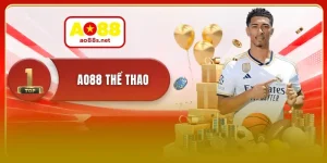 ao88-the-thao-tan-huong-tran-dau-truc-tiep-soi-dong